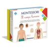 Educational Game Montessori El Cuerpo Humano Clementoni (ES) (8 x 25,5 x 20 cm)