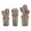 Cactus Stone Cactus 3 (7 x 17 x 8 cm)