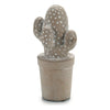 Cactus Stone Cactus 3 (7 x 17 x 8 cm)