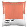 Cushion cover Wide C Reversible (50 x 50 cm)