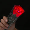 Red Rose with Multicoloured LEDs