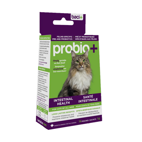 Cat and Wellness – Critters Pet Health Store