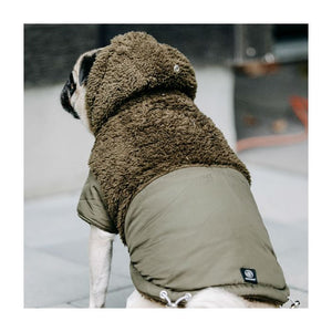 silver paw dog coat