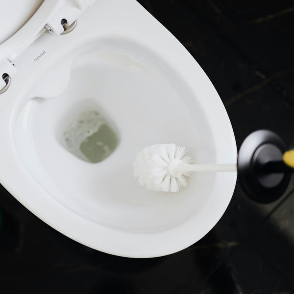how to get rid of black stains in toilet bowl