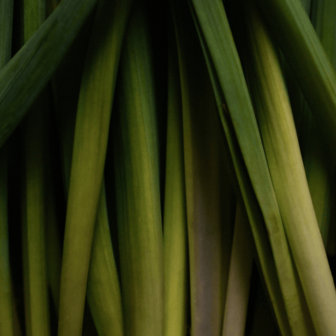 Lemongrass