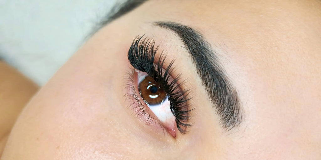 Eyelash Extension Duration I Prolong Lash