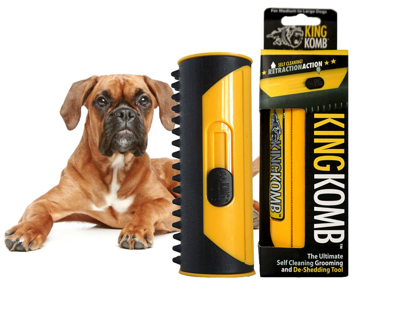 boxer dog grooming