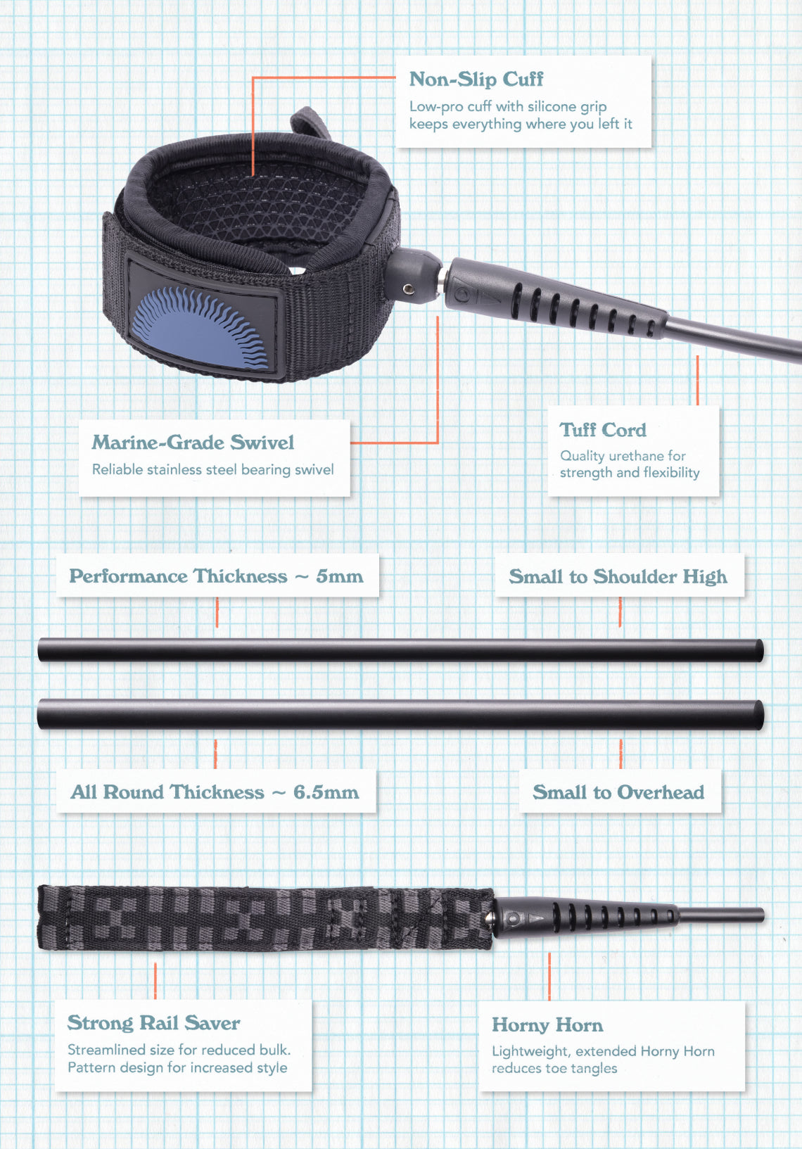 leash infographic