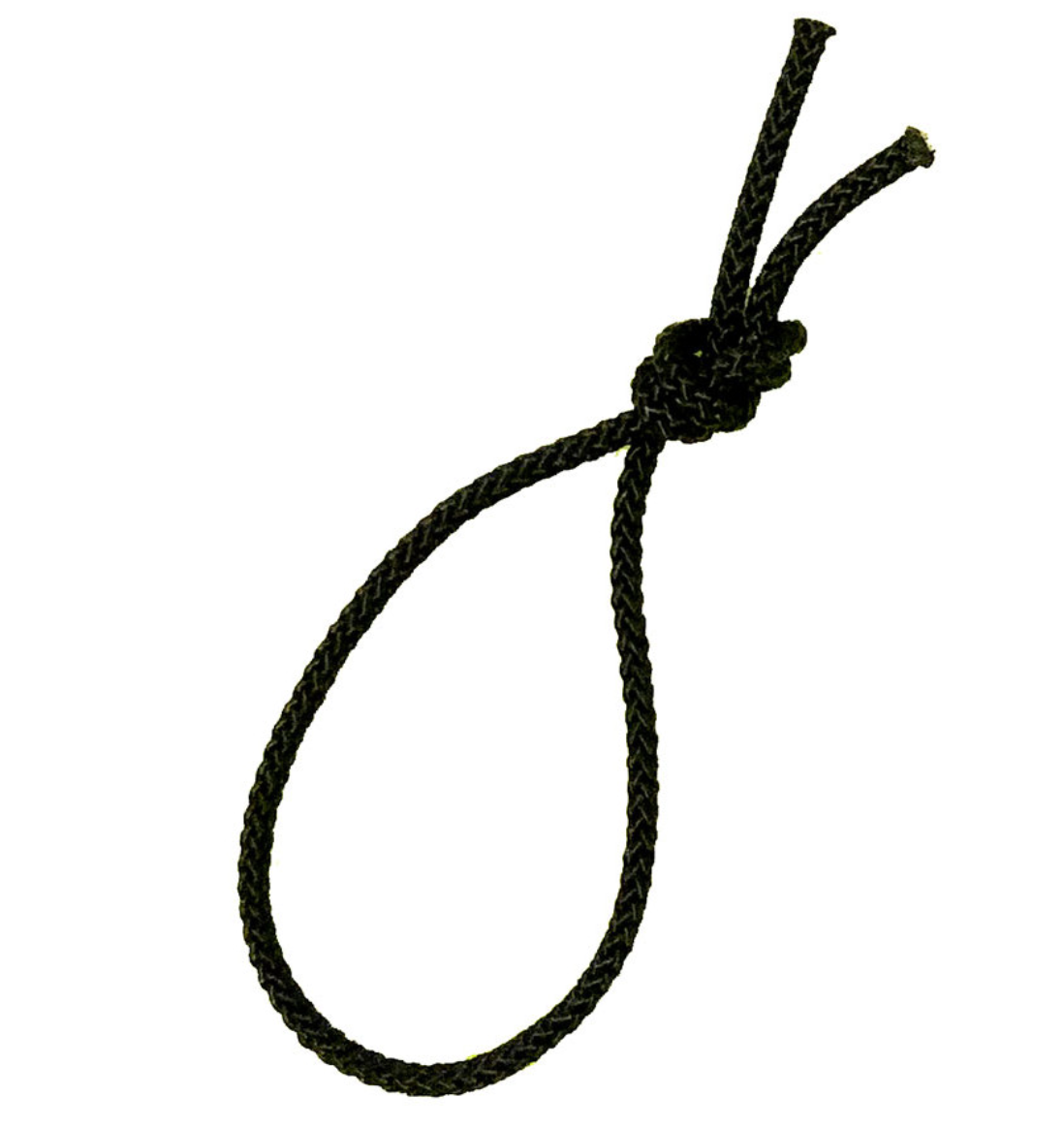 Image of Leash Cord in undefined