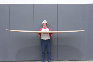 Image of 10'2 Tyler Warren Glider in undefined