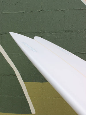 5'5 Arenal Fish - Mollusk Surf Shop - description