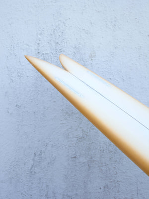 5'5 Christenson Fish - Mollusk Surf Shop - description