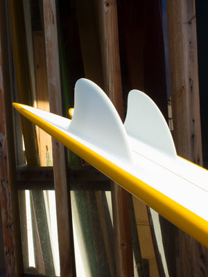 5'5 Elmore Frye'd Fish - Mollusk Surf Shop - description