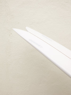 5'6 Arenal Sidecut Fish - Mollusk Surf Shop - description