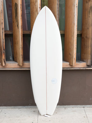 5'6 Radio Quad Fish - Mollusk Surf Shop