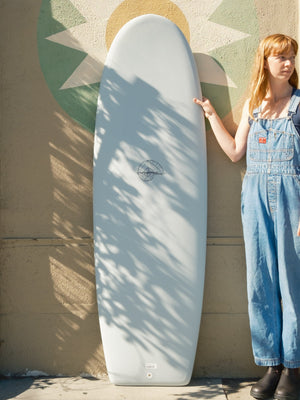 6'0 Wegener Hydrodynamica Mini Sims - Mollusk Surf Shop