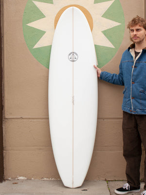 Image of 6'4 Campbell Brothers Egg DT in undefined