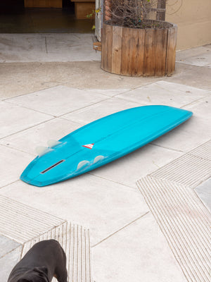 Image of 6'6 Hanel Diamond Tail Bonzer in undefined