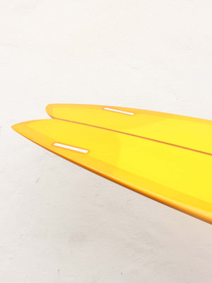 9'6 Arenal Fish - Mollusk Surf Shop - description