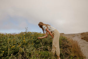 Image of Beach Pants in Fawn