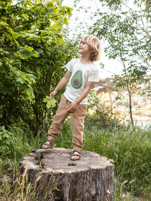 Avocado Kids Tee - 3-6M - Mollusk Surf Shop - description