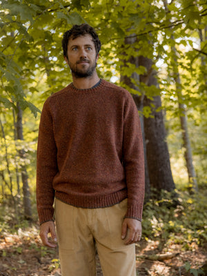 Image of Cambridge Sweater in Mushroom Tipped