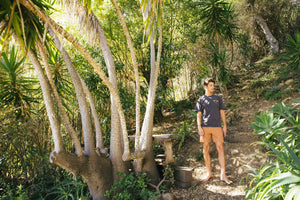 Image of Corduroy Salvador Shorts in Orange Earth