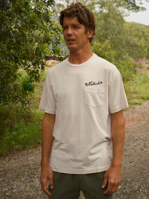 Image of Day Tripper Tee in Fog