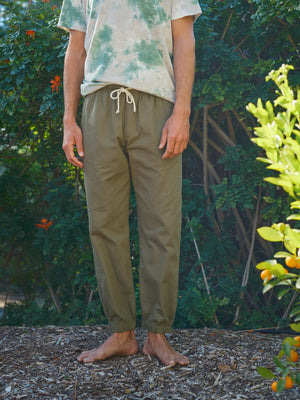 Image of Jeffrey Pants in Faded Mash Green