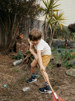 Image of Kids Vacation Trunks in Mustard