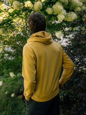 Image of Max Pullover in Mustard