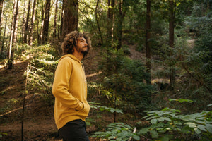 Image of Max Pullover in Mustard