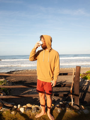 Image of Max Pullover in Tan Earth