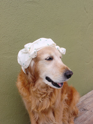 Image of Mollusk Bandana in Cactus Garden