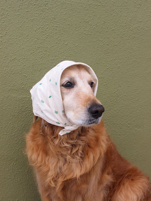 Image of Mollusk Bandana in Cactus Garden