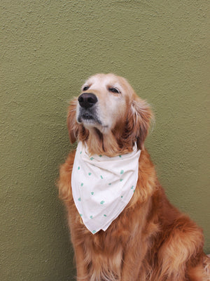 Image of Mollusk Bandana in Cactus Garden