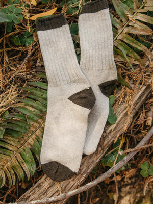 Image of Mollusk Wool Sock in Natural