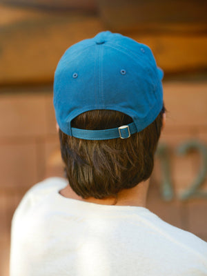 Image of Mushroom Dad Hat in Blue