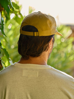 Image of Mushroom Dad Hat in Mustard