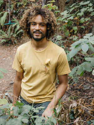 Image of Mushroom Pocket Tee in Mustard