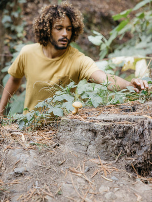 Image of Mushroom Pocket Tee in Mustard