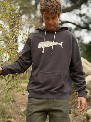 Image of Olde Whale Pullover in Navy