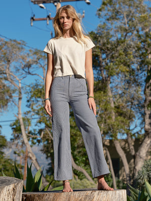 Image of Painter Pants in Railroad Stripe