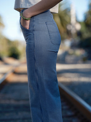 Image of Painter Pants in Railroad Stripe