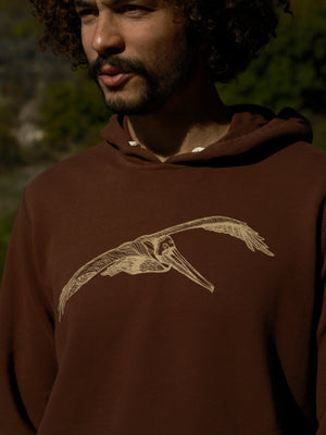 Image of Pelican Pullover in Brown