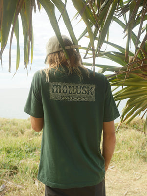 Image of Poppies Tee in Schoolhouse Green