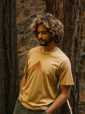 Image of Pyramid Tee in Tan Earth