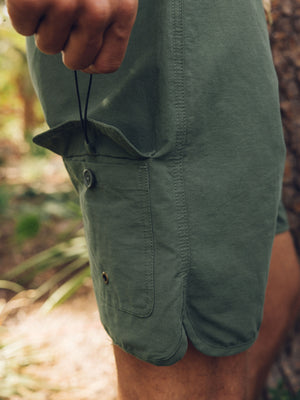 Image of Scallop Trunks in Deep Forest