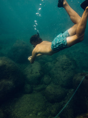 Image of Scallop Trunks in Green Tidepool