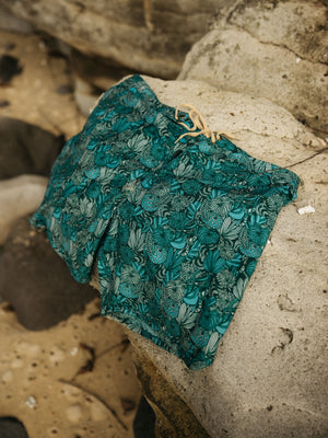 Image of Scallop Trunks in Green Tidepool